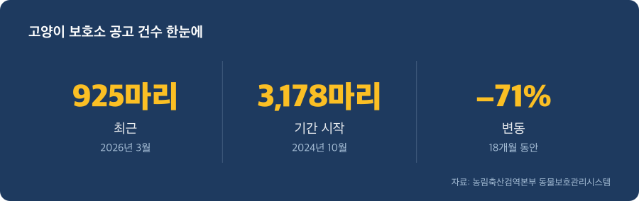 고양이 보호소 공고 건수 주요 수치