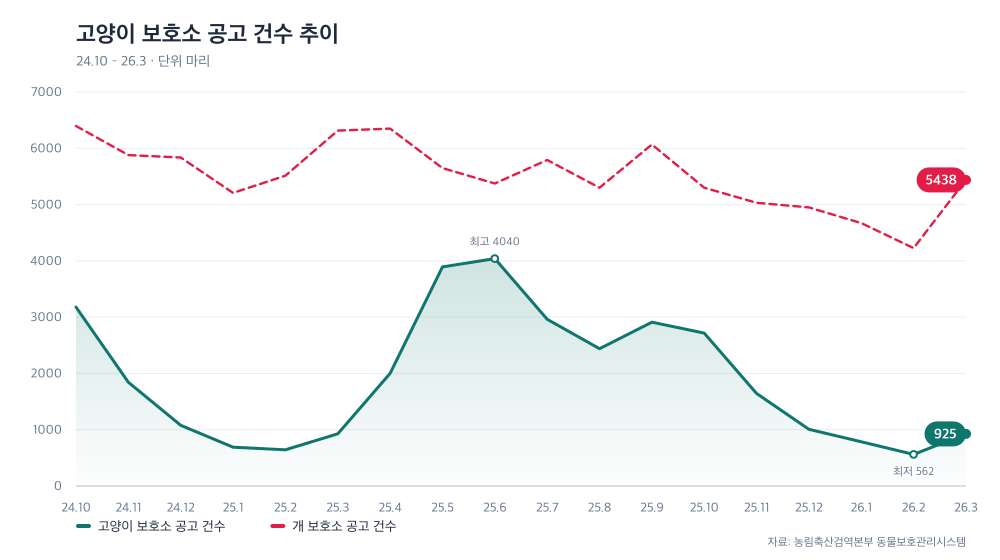 고양이 보호소 공고 건수 추이