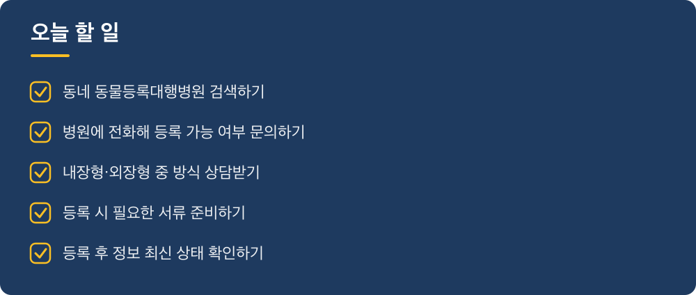 오늘 할 일