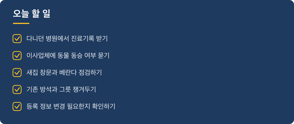 오늘 할 일