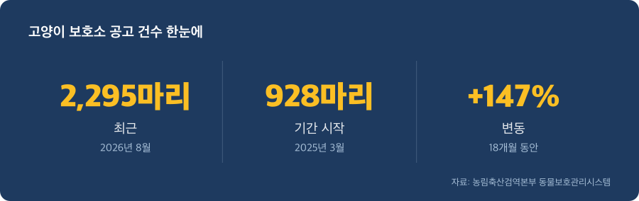 고양이 보호소 공고 건수 주요 수치