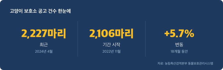 고양이 보호소 공고 건수 주요 수치