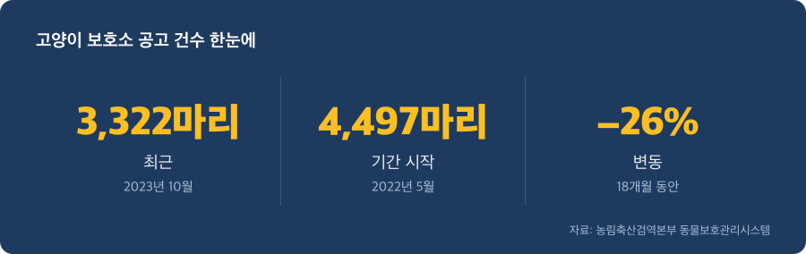 고양이 보호소 공고 건수 주요 수치