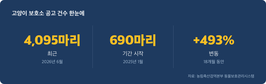 고양이 보호소 공고 건수 주요 수치