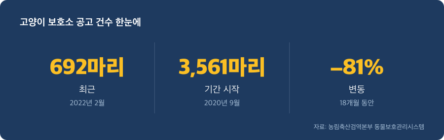고양이 보호소 공고 건수 주요 수치