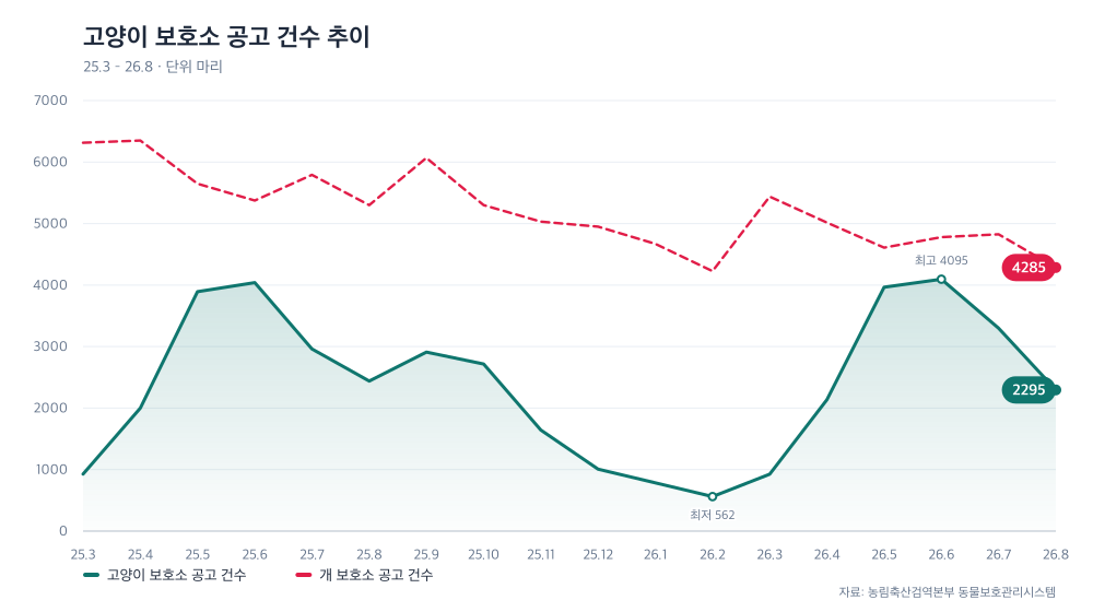 고양이 보호소 공고 건수 추이