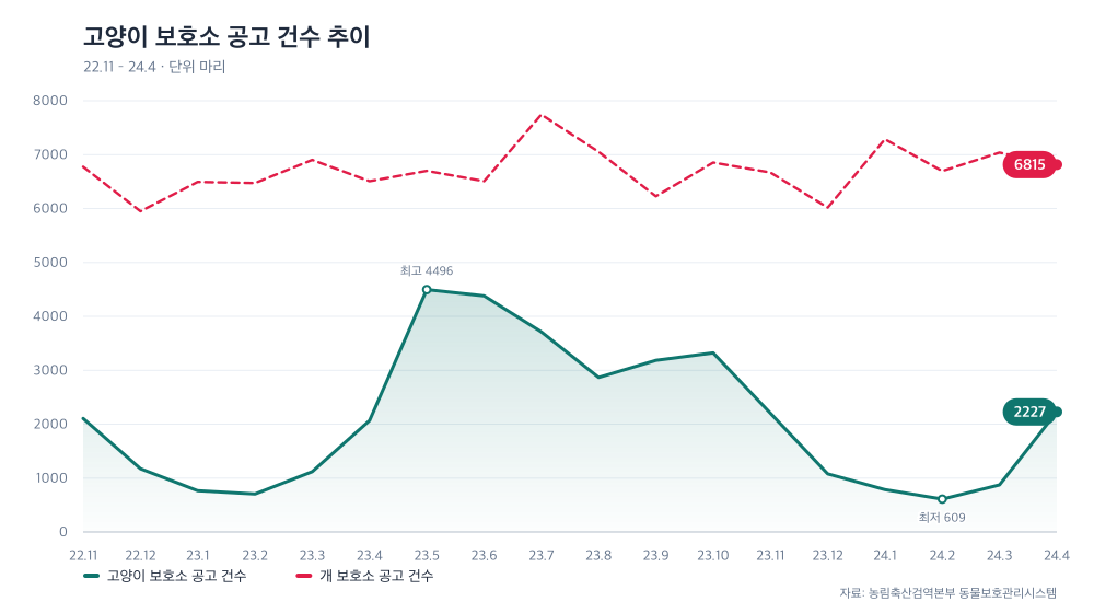 고양이 보호소 공고 건수 추이