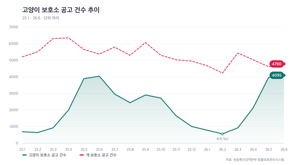 고양이 보호소 공고 건수 추이