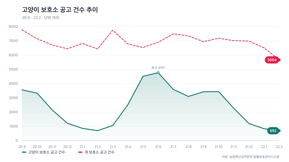 고양이 보호소 공고 건수 추이