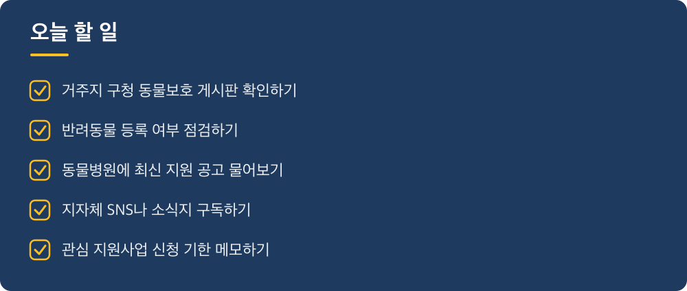 오늘 할 일