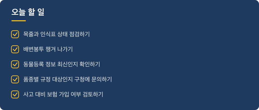 오늘 할 일