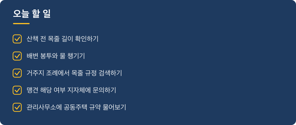 오늘 할 일
