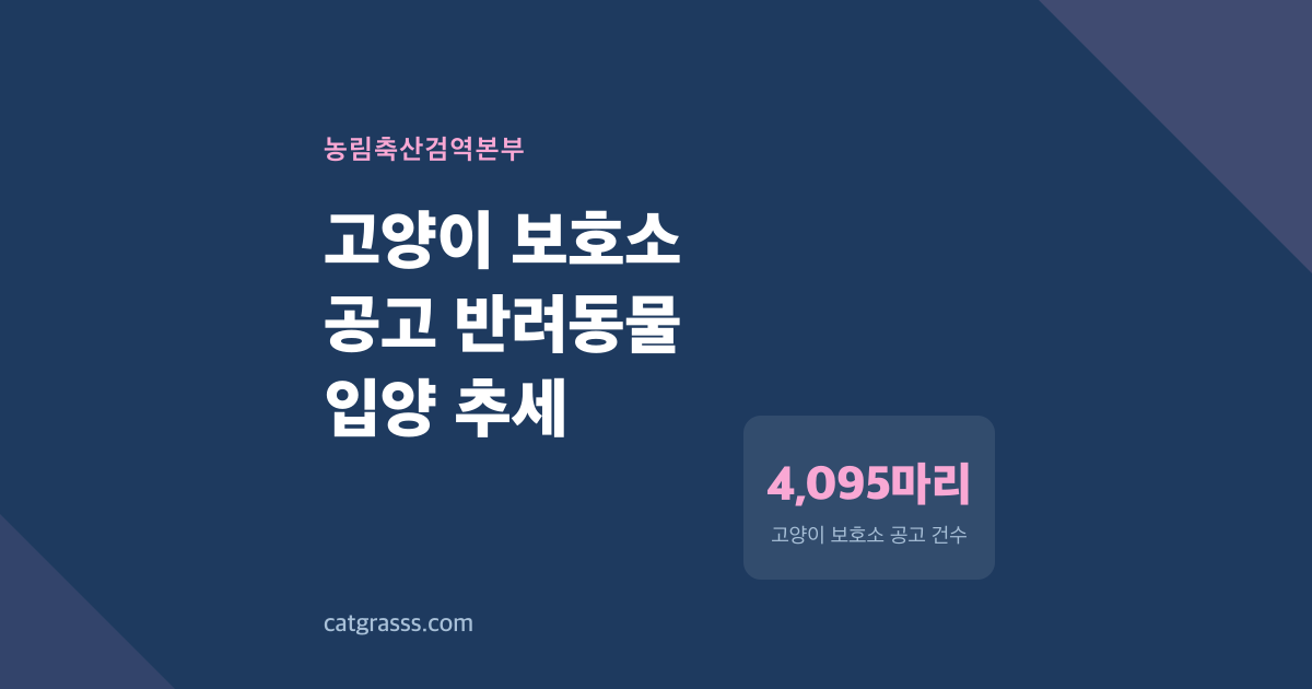 고양이 보호소 공고 6배 증가, 개는 왜 줄어들까