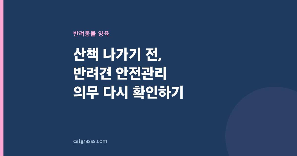 산책 나가기 전, 반려견 안전관리 의무 다시 확인하기