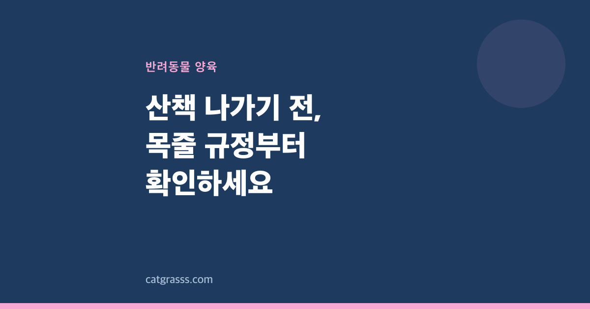 산책 나가기 전, 목줄 규정부터 확인하세요