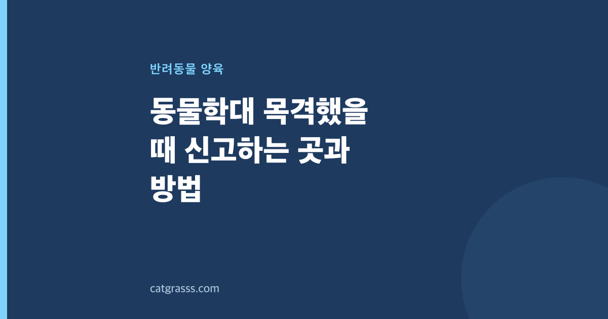 동물학대 목격했을 때 신고하는 곳과 방법