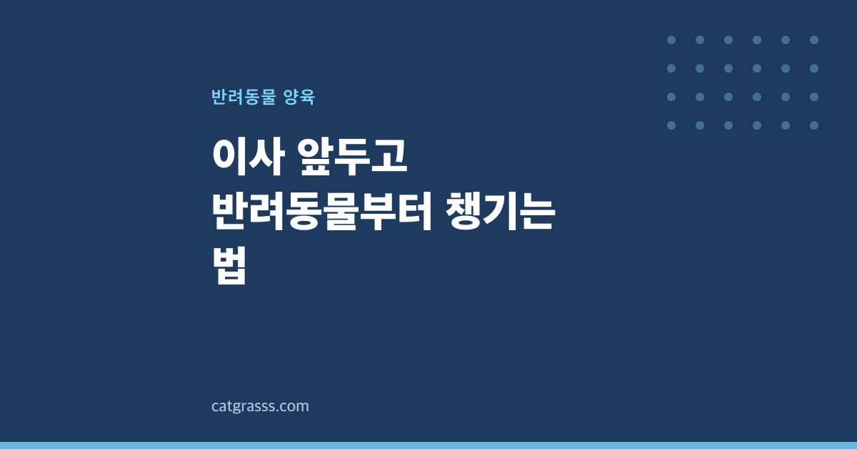 이사 앞두고 반려동물부터 챙기는 법