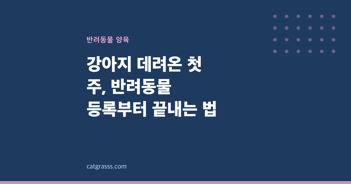 강아지 데려온 첫 주, 반려동물 등록부터 끝내는 법