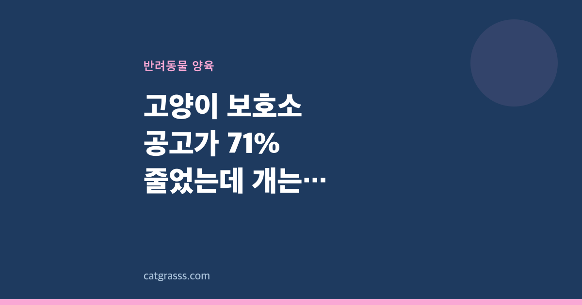 고양이 보호소 공고가 71% 줄었는데 개는 28%만 줄었다