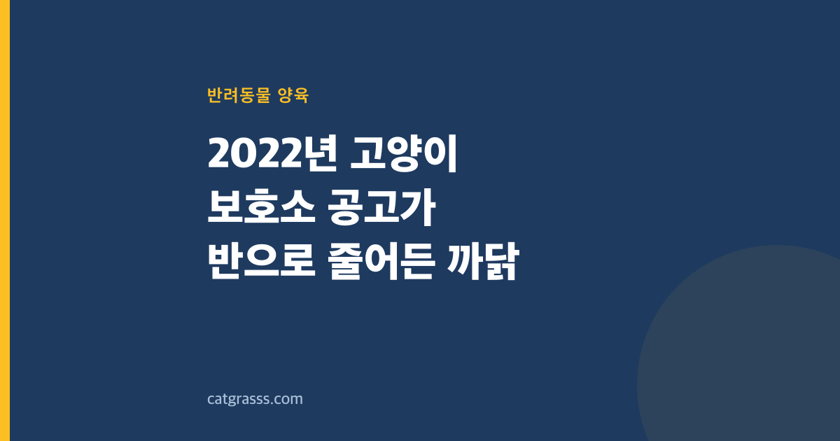 2022년 고양이 보호소 공고가 반으로 줄어든 까닭