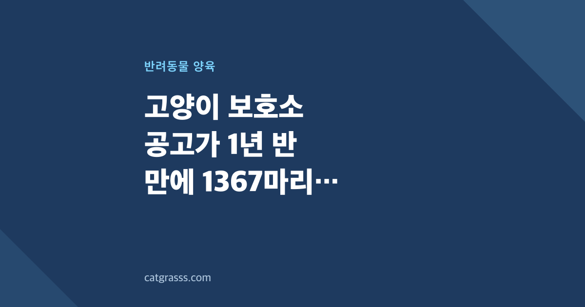 고양이 보호소 공고가 1년 반 만에 1367마리 늘어난 까닭