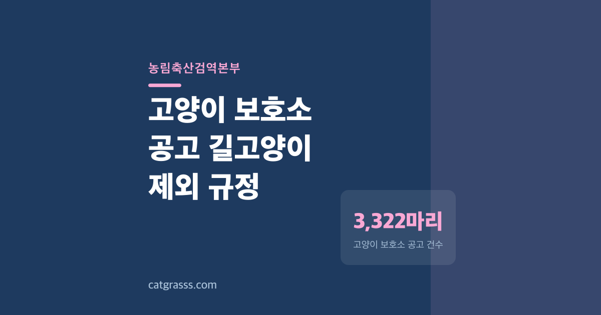 고양이 보호소 공고가 3년 만에 75% 줄어든 까닭