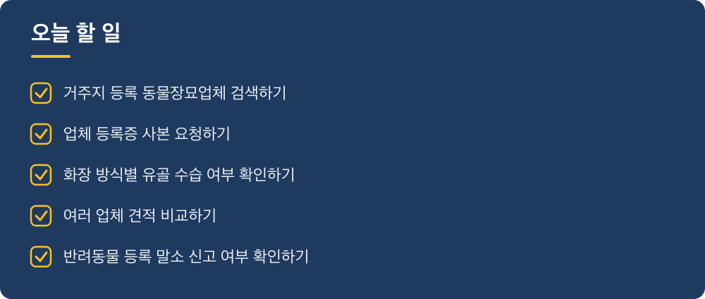 오늘 할 일