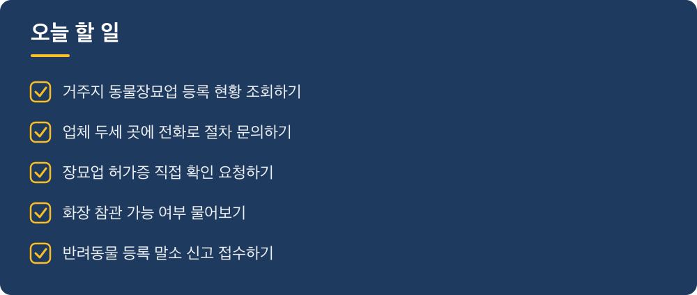 오늘 할 일