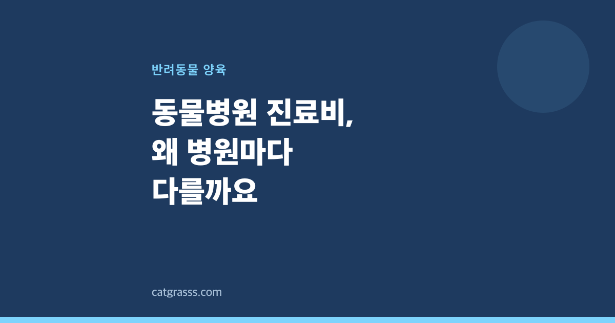 동물병원 진료비, 왜 병원마다 다를까요