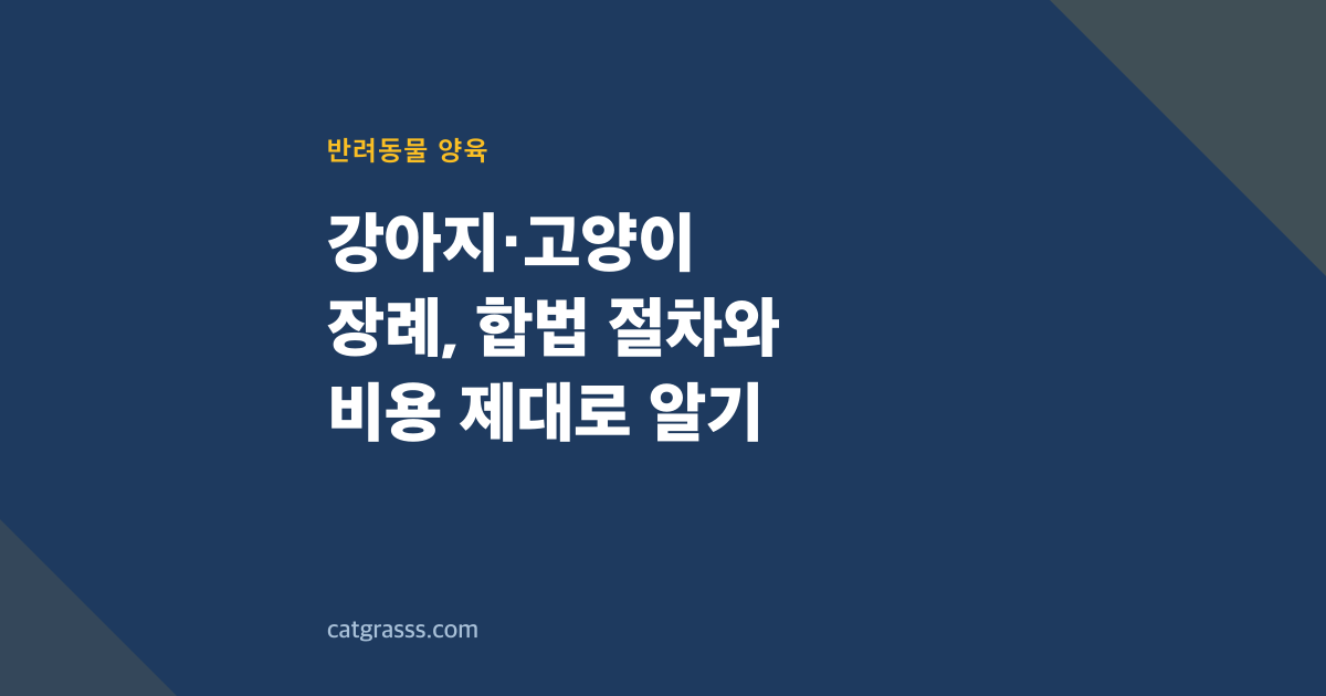 강아지·고양이 장례, 합법 절차와 비용 제대로 알기