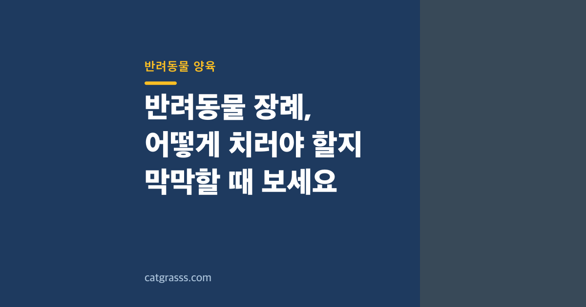 반려동물 장례, 어떻게 치러야 할지 막막할 때 보세요