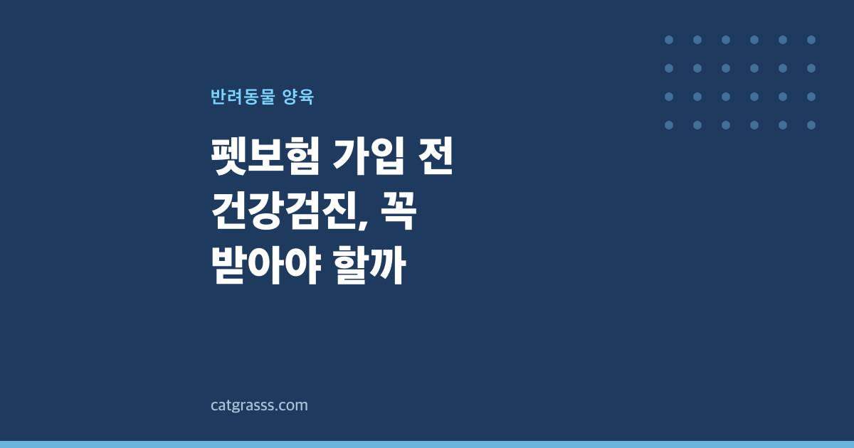 펫보험 가입 전 건강검진, 꼭 받아야 할까