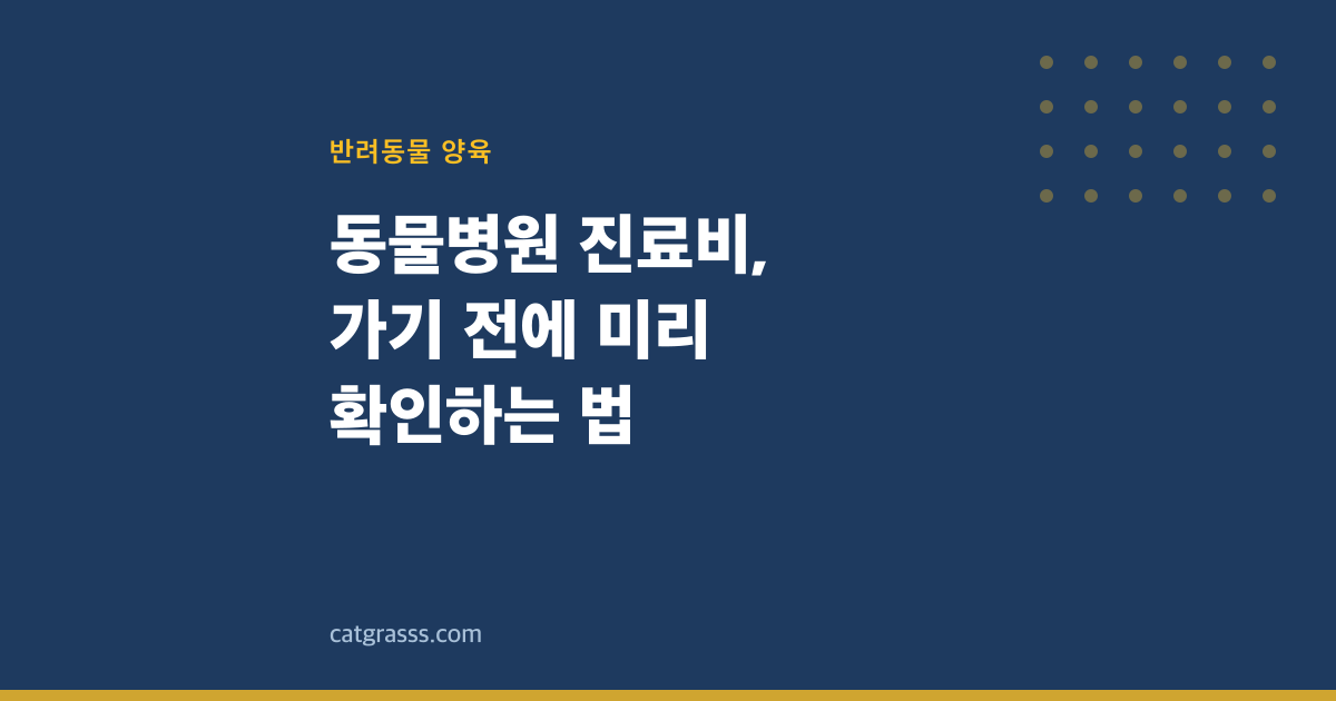 동물병원 진료비, 가기 전에 미리 확인하는 법
