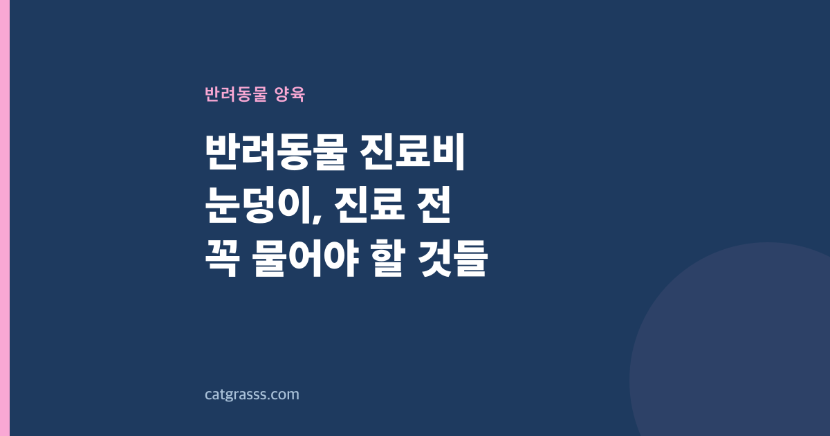 반려동물 진료비 눈덩이, 진료 전 꼭 물어야 할 것들
