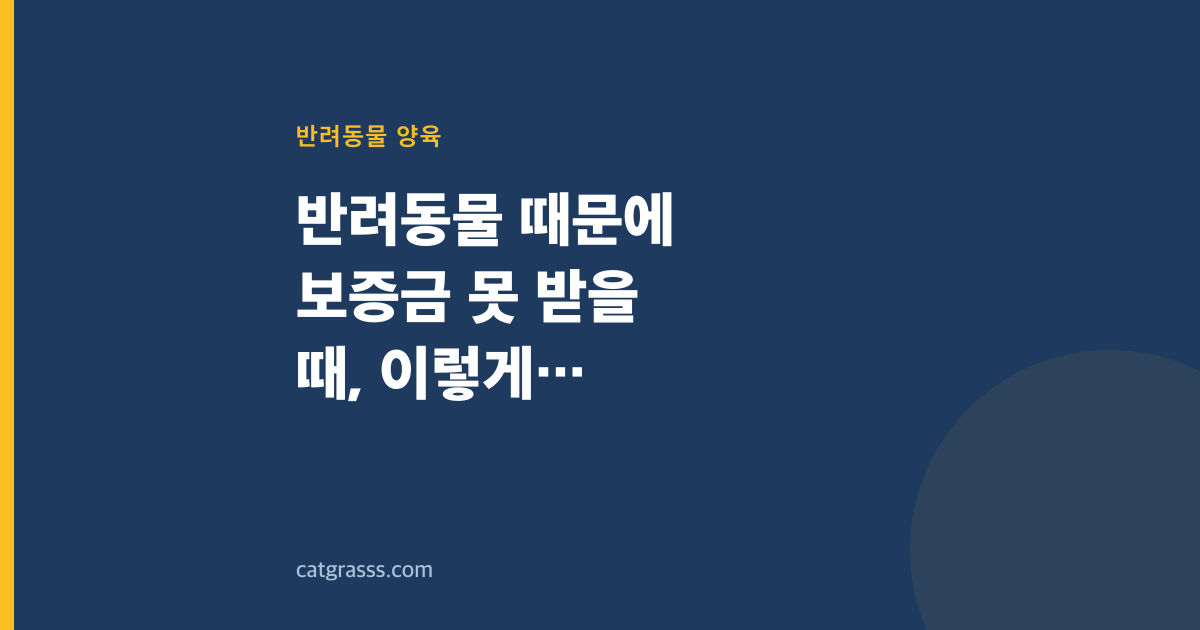 반려동물 때문에 보증금 못 받을 때, 이렇게 대응하세요
